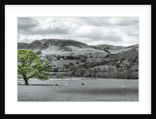 Beautiful countryside by Assaf Frank